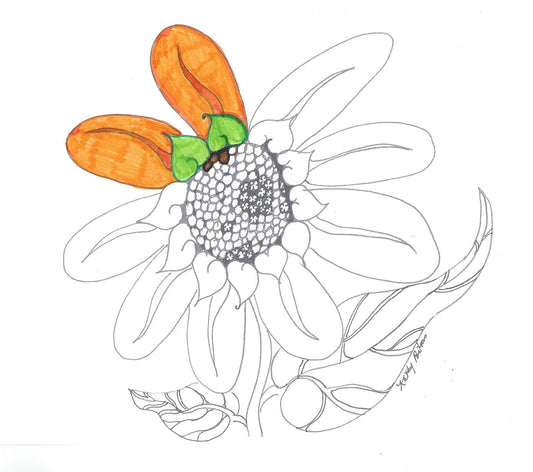 color your own, naïve fantasy folk art sunflower