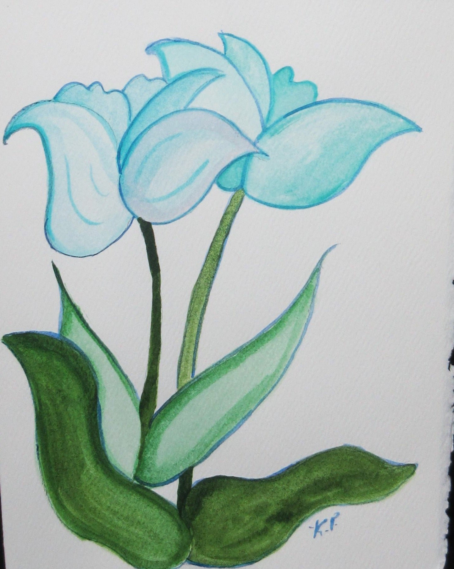 Two Blue Tulips