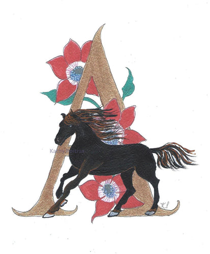  Illustrated letter  A is for Arabian Horse and Anemone Flowers by artist Kathy Poitras