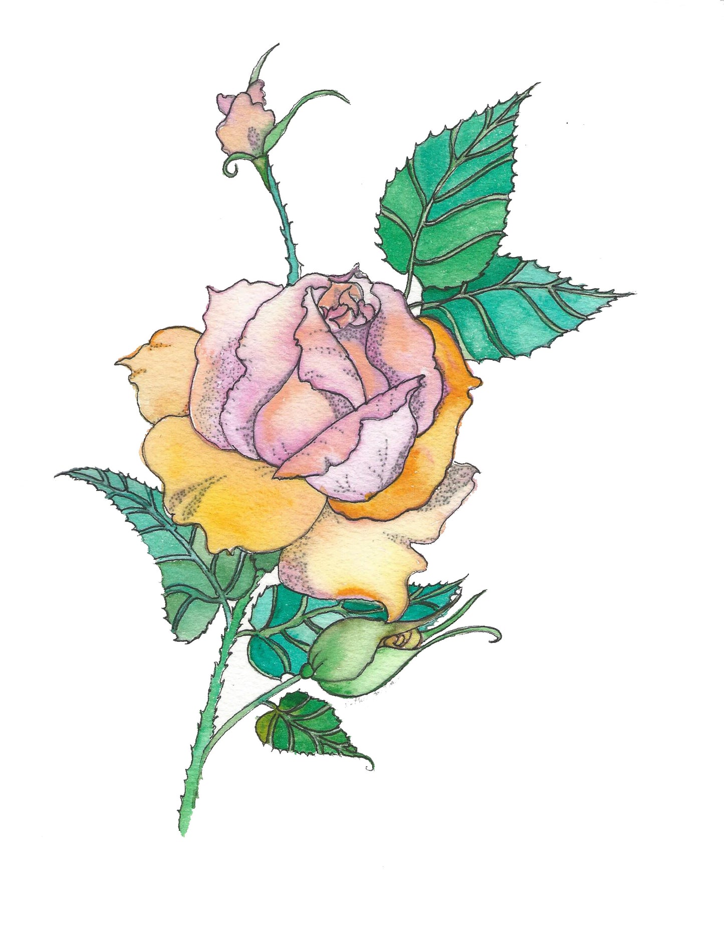 color your own rose with buds