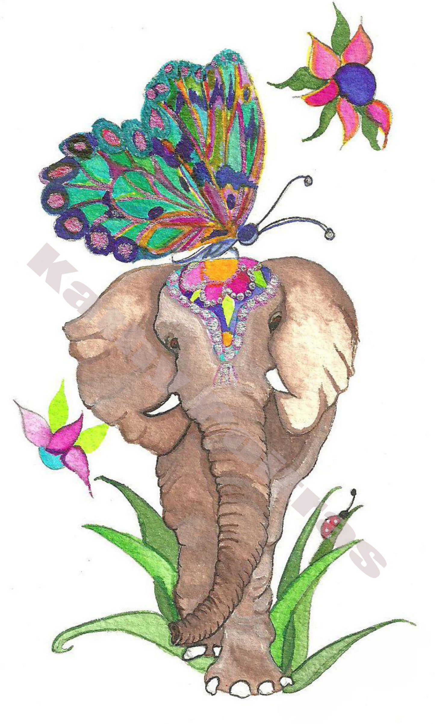 Cutey Eyed Elephant and Butterfly