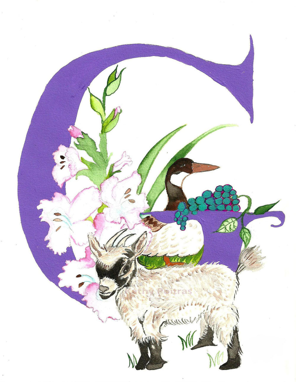 Illustrated letter G is for Goat, Goose, Grapes and Gladiolas