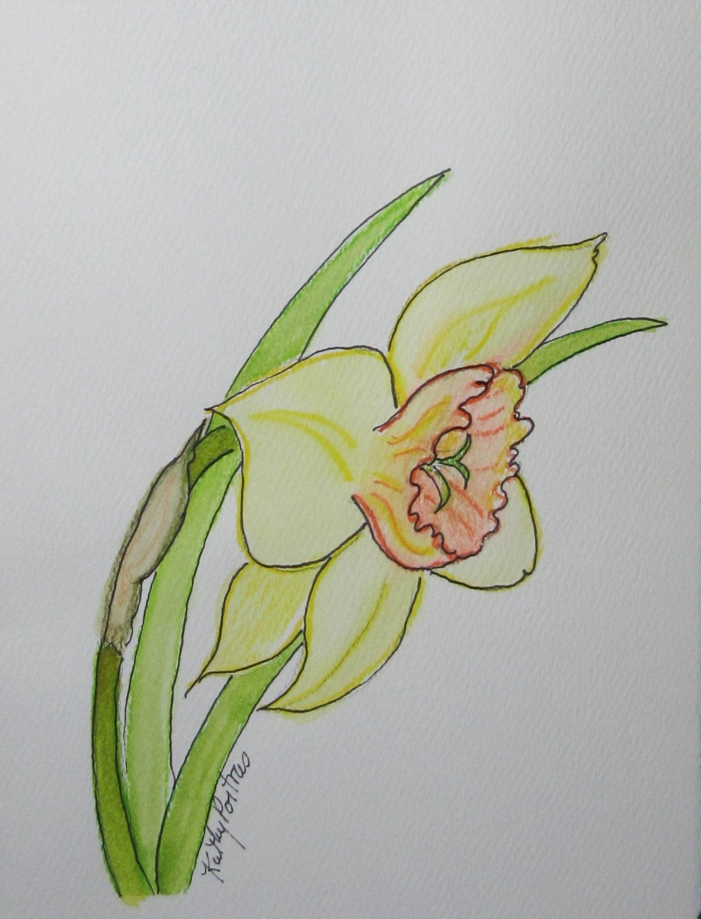 Daffodil Celebration B 5 x7 inch watercolor and ink