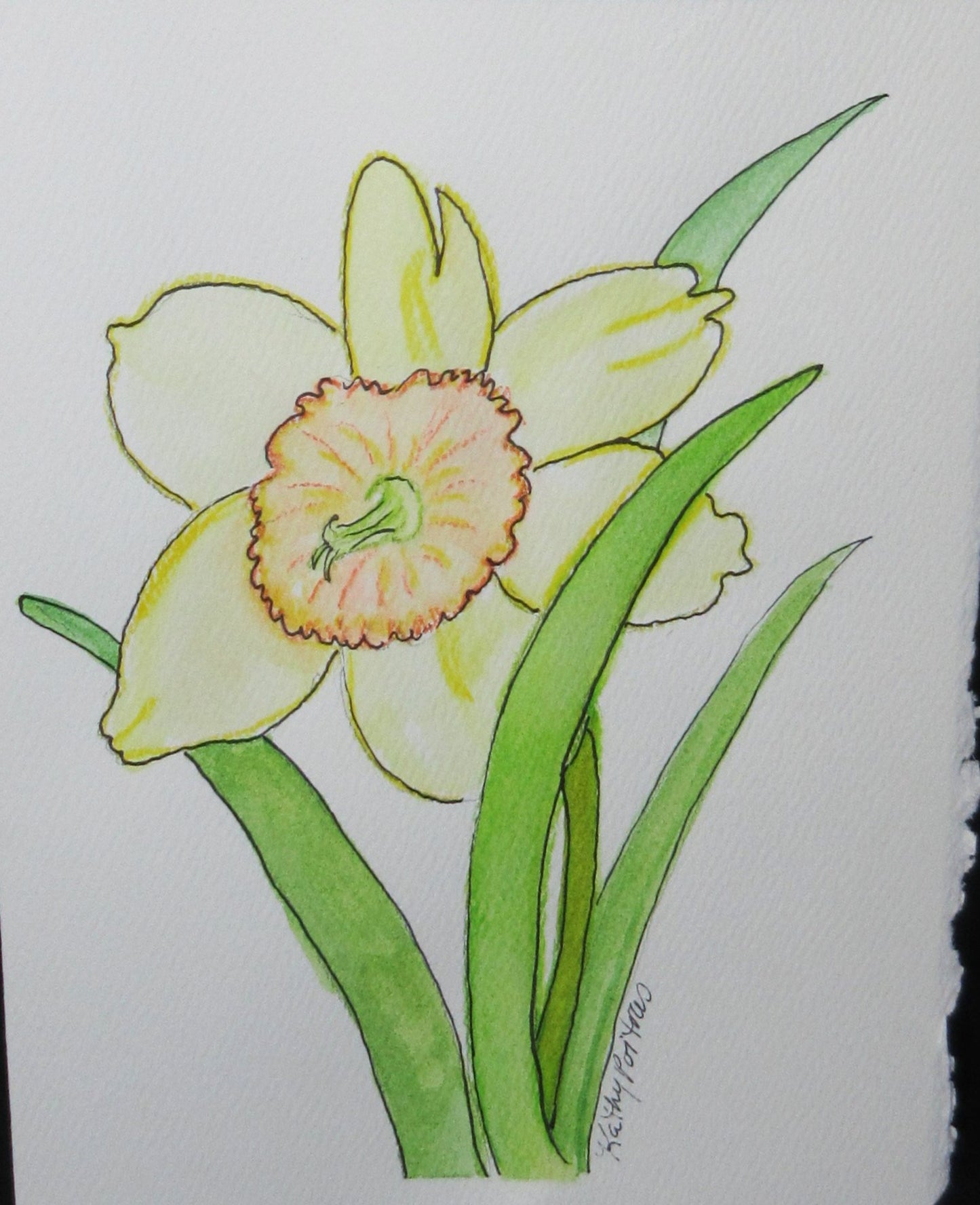 Daffodil Celebration A small watercolor painting