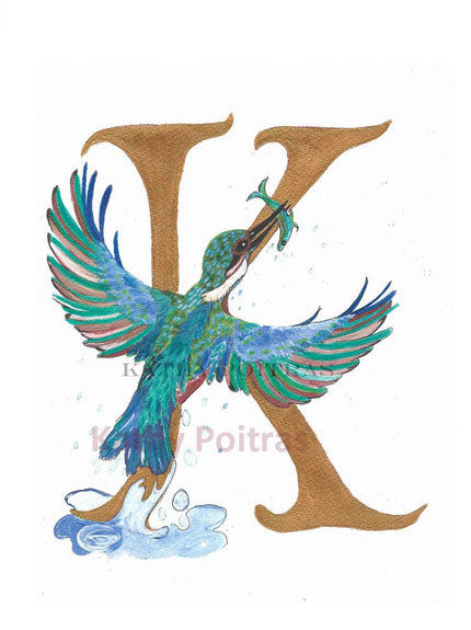 illustrated letter K is for Kingfisher