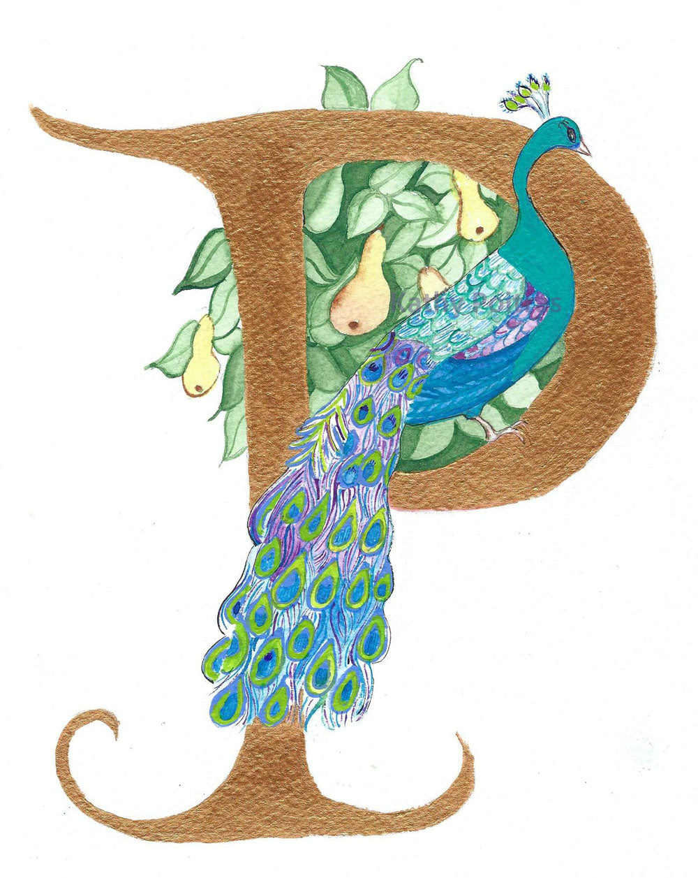 Illustrated Letter P for Peacock and Pear tree