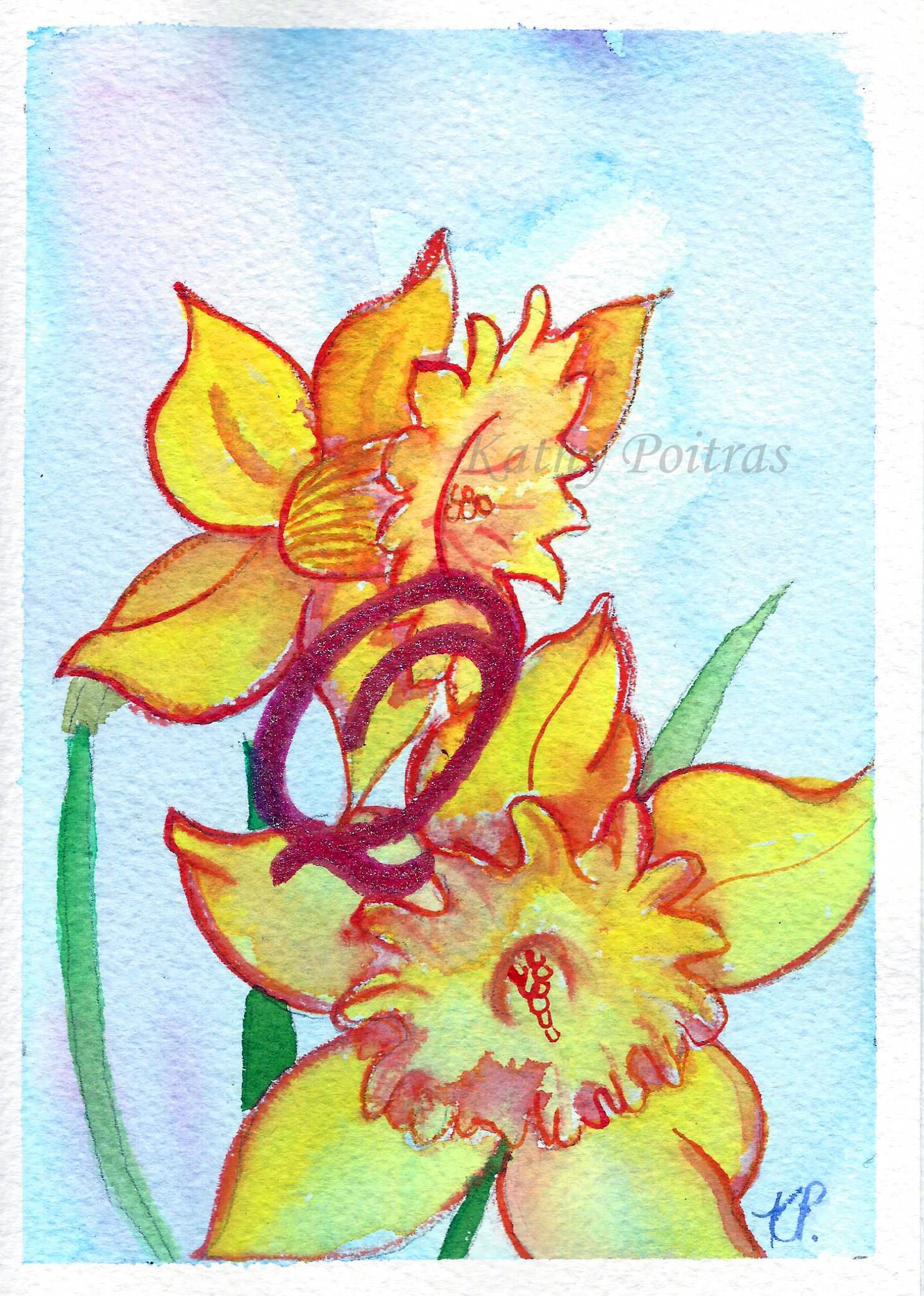 Greeting Card, Birthday Card, Mothers Day Card, watercolor and ink. Daffodils are the birth flower of the month for March. This flower of the month card is personalized with a fancy letter Q by artist Kathy Poitras 
