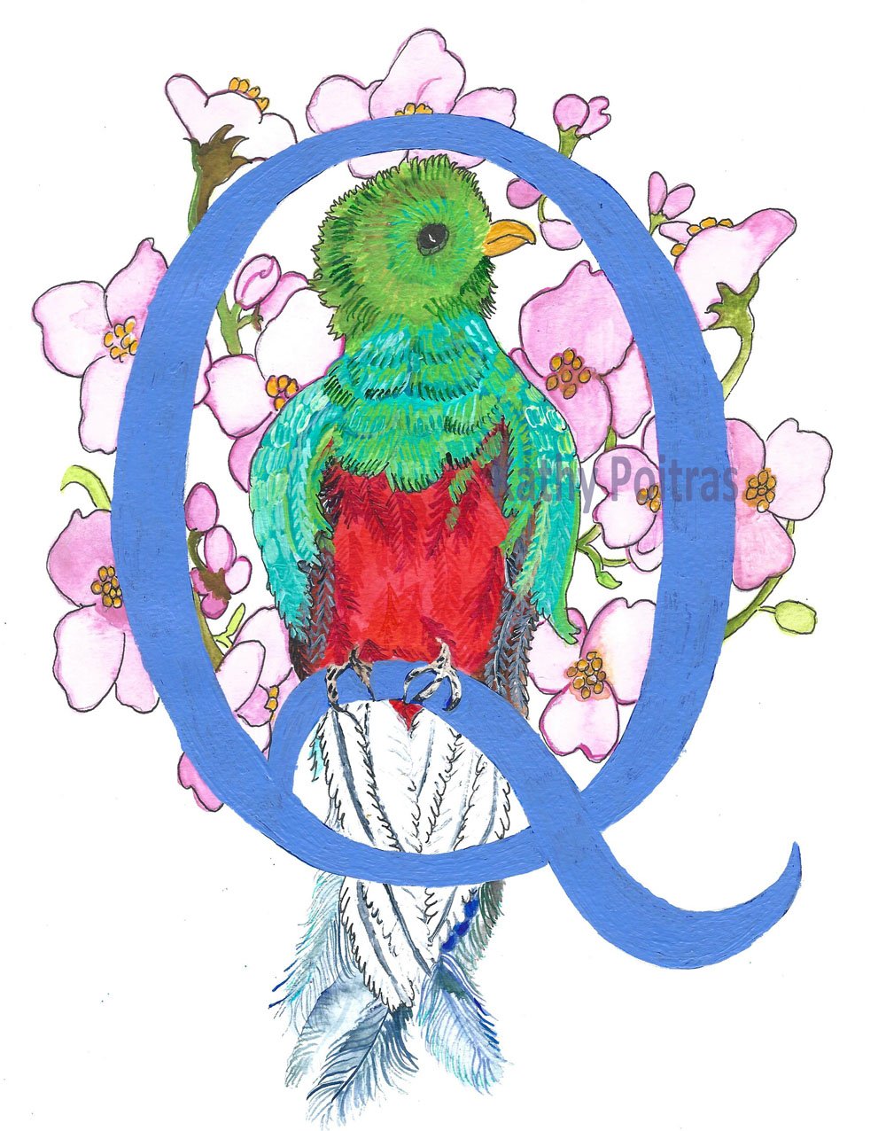Hand made photographic Personalized Greeting Card. Illustrated Letter Q for Quetzal and Quince by artist Kathy Poitras